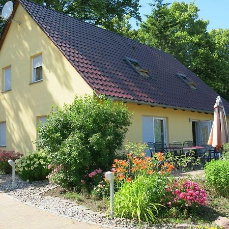 Schoelzke'S Ferienhaus 拉尔斯维克 外观 照片